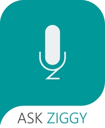 Ask Ziggy Inc.