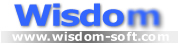 Wisdom Software