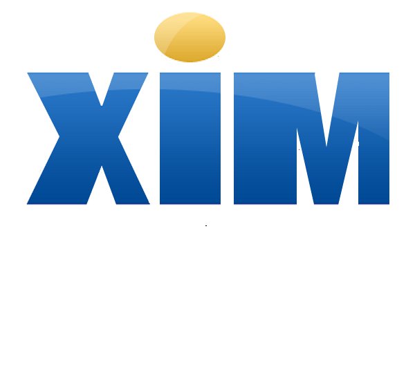 Xtra Information Management Incorporated (XIM, Inc.)