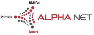 Alpha Net Consulting LLC