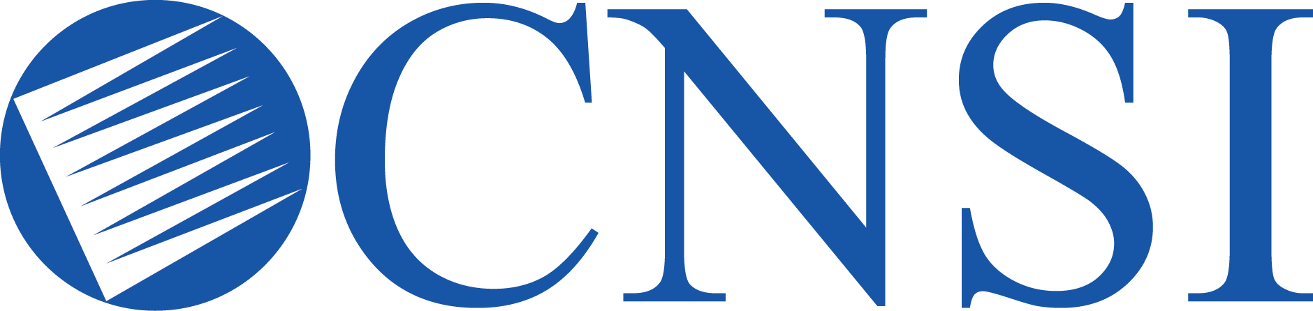 CNSI, Inc.