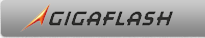 Gigaflash Ltd
