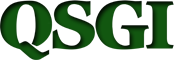 QSGI Inc