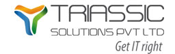 Triassic Solutions Private Limited