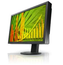 Eizo FlexScan S2243W